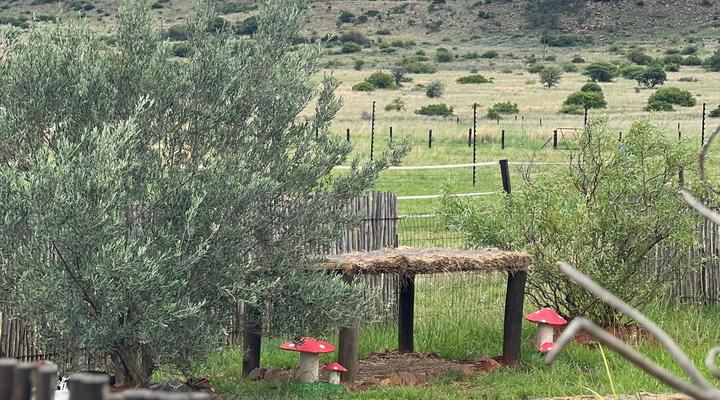 Sanctuary Life Guest Farm