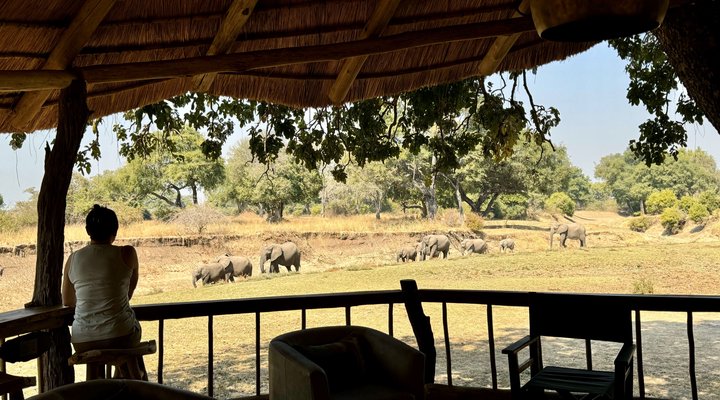 Mwamba Bush Camp