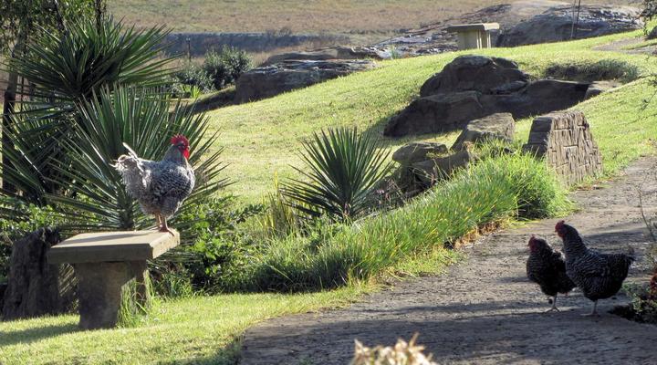 Vreugde Gasteplaas Self-Catering