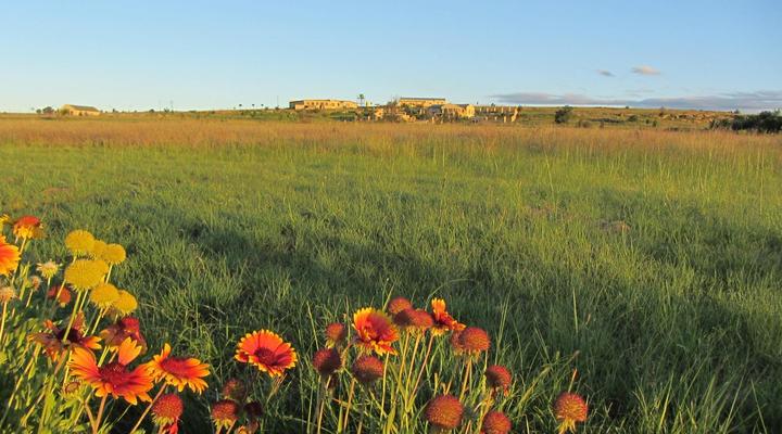 Vreugde Gasteplaas Self-Catering