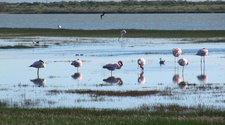 Riverhouse - Velddrif