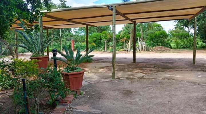 The Orchid Guesthouse 