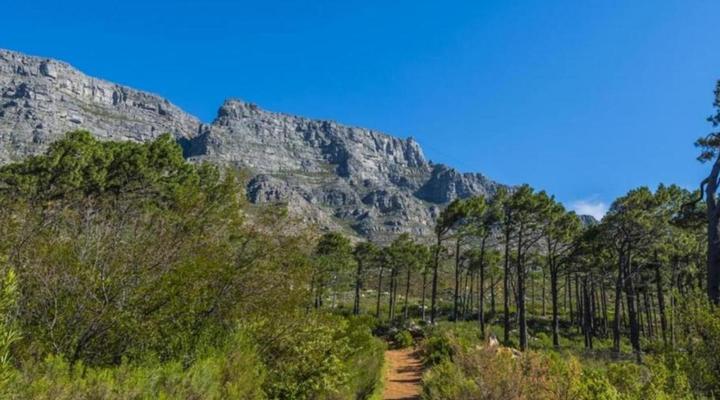 20 Belladonna Avenue