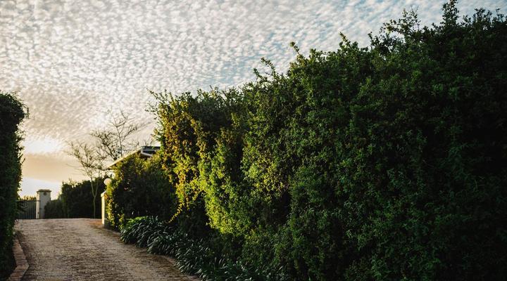 Hitgeheim Country Lodge