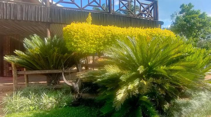 Dublin Guest House 02