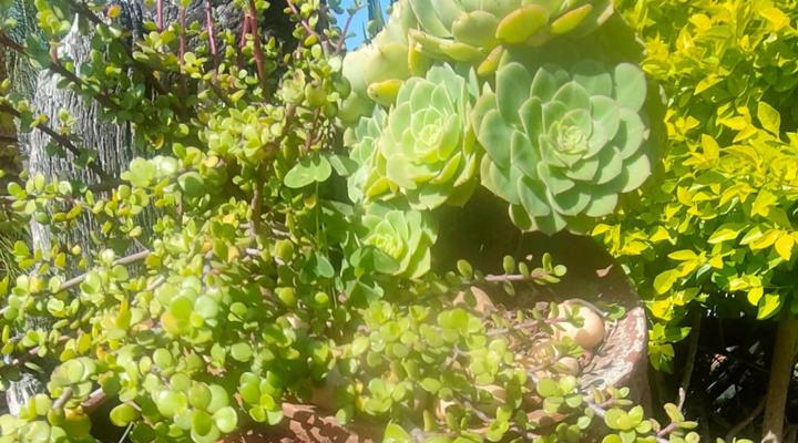 Dublin Guest House 02