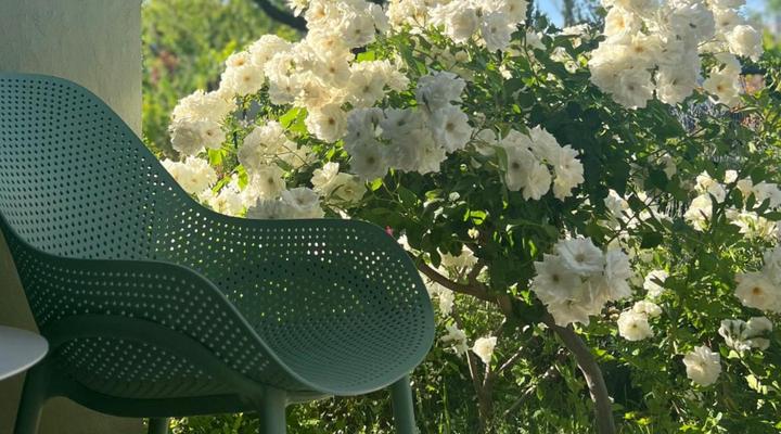 81 on Church Guest House