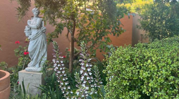 81 on Church Guest House