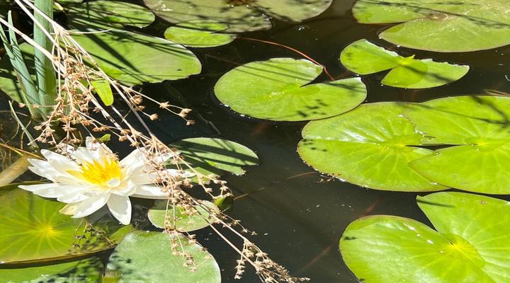 81 on Church Guest House