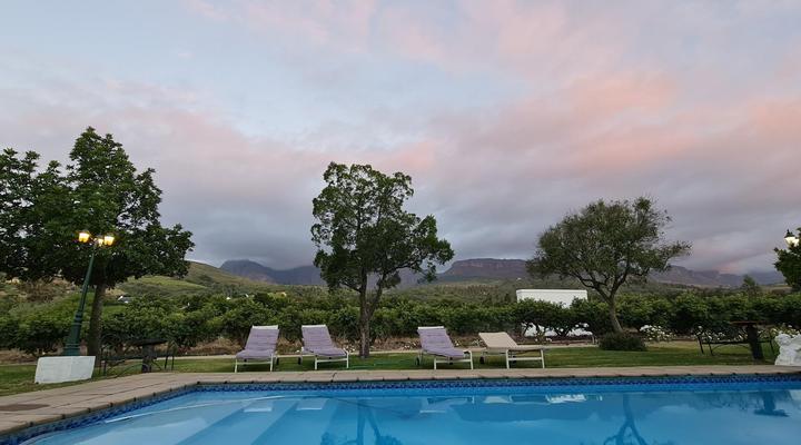 Champagne De Kleijne Bos