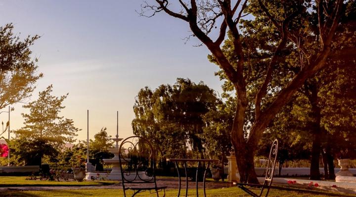 Champagne De Kleijne Bos