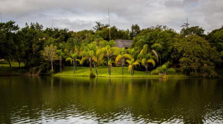 Pangane M Properties @ Kruger Park lodge