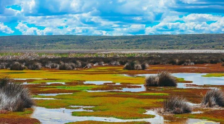 The Shark Bay Villas