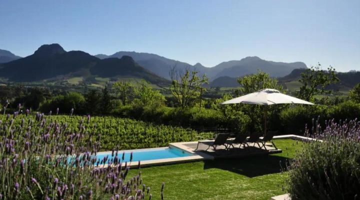 Blueberry Hill Cottages