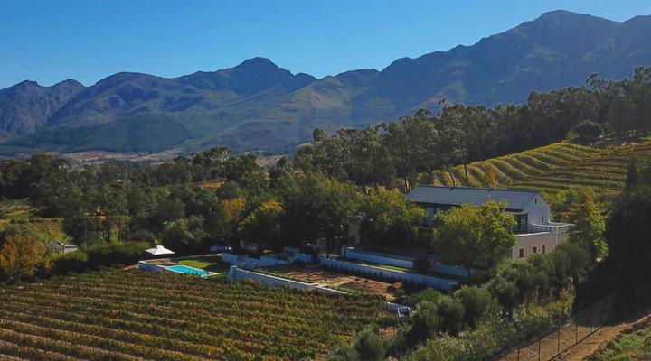 Blueberry Hill Cottages