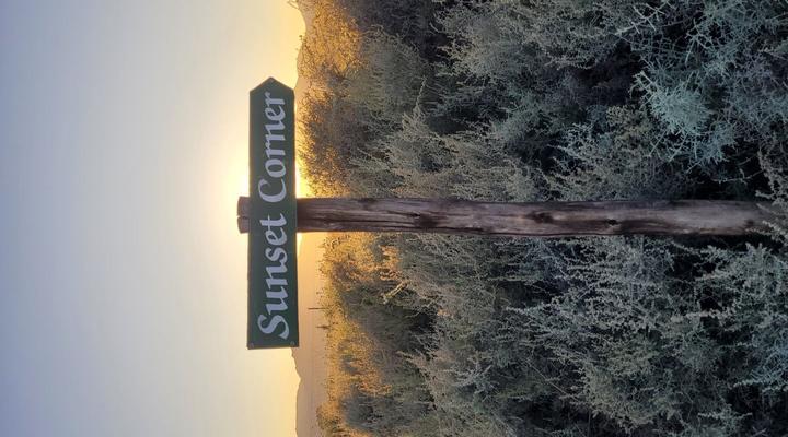 The Lark @ De Weiglhuys Farm