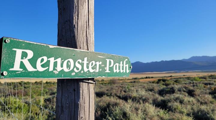 The Lark @ De Weiglhuys Farm