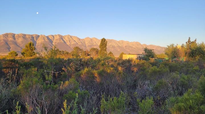 The Lark @ De Weiglhuys Farm