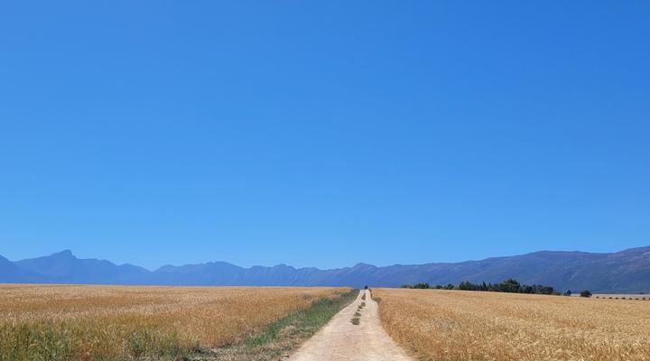 The Lark @ De Weiglhuys Farm