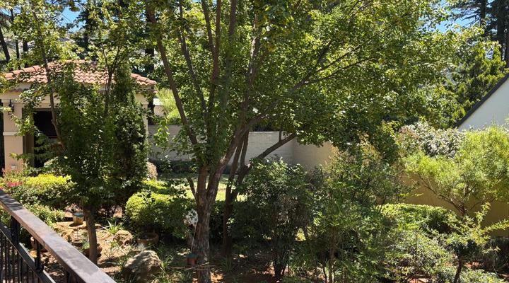 Clarens Butterfly Villa