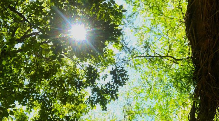 Sand River Guest House