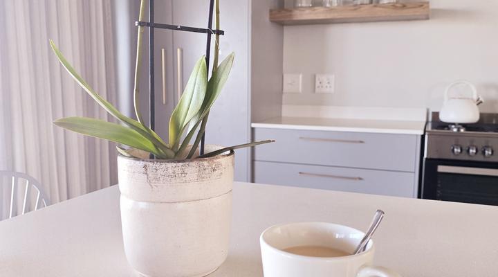 Grace Abounds Holiday Home