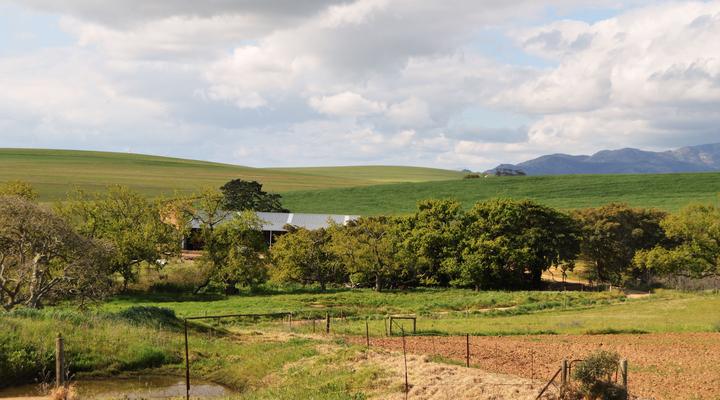 Chavonnes Farm Cottage