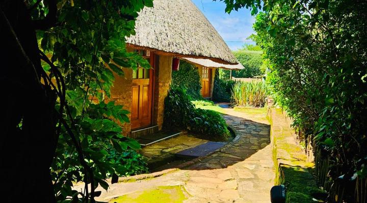 Bird Haven Guesthouse