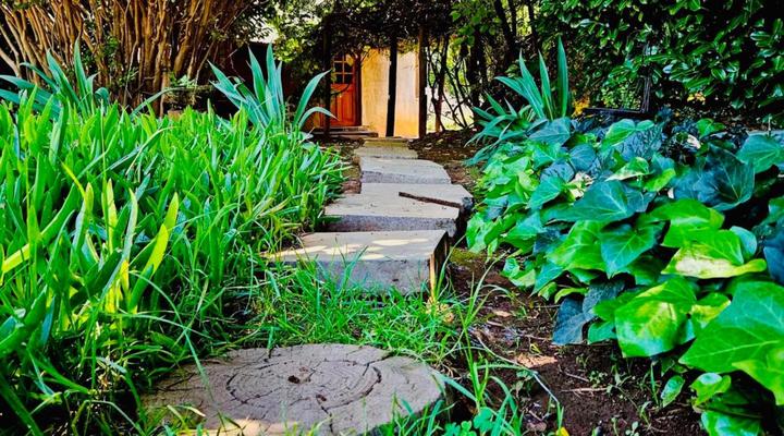 Bird Haven Guesthouse