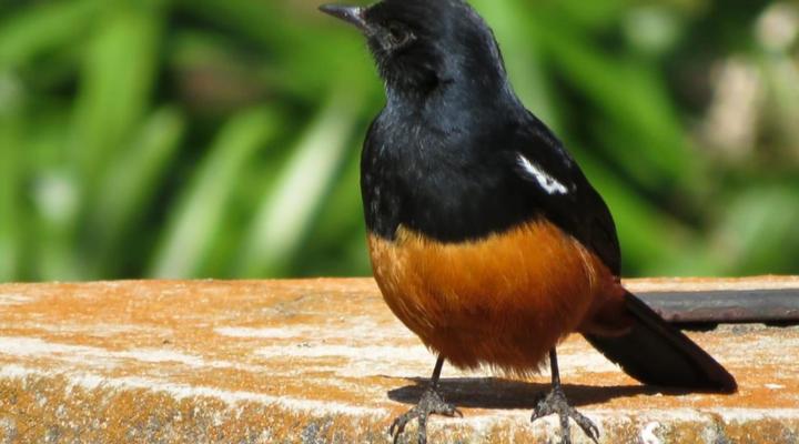 Valley of the Rainbow Fly Fishing Estate