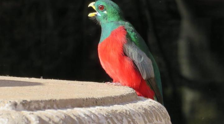 Valley of the Rainbow Fly Fishing Estate