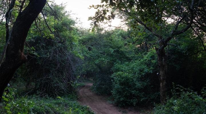 Mazuri Bush Cottages