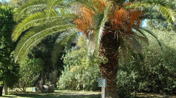 Ou Skip Holiday Resort