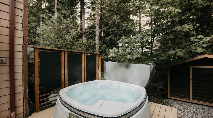 #24 Mt Baker Rim Cabin