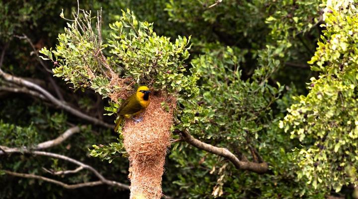 Addo Riverside Manor