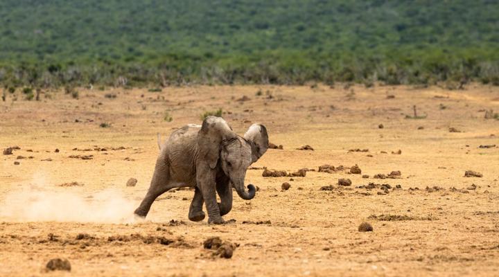 Addo Riverside Manor