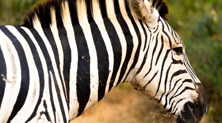 Addo Riverside Manor