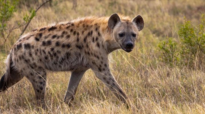 Addo Riverside Manor