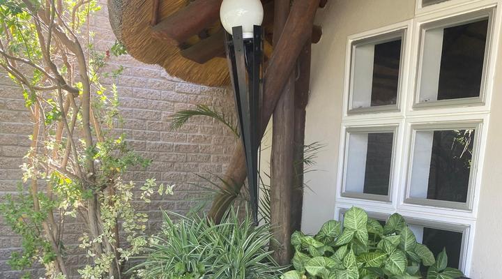 Bird's Nest Guest House