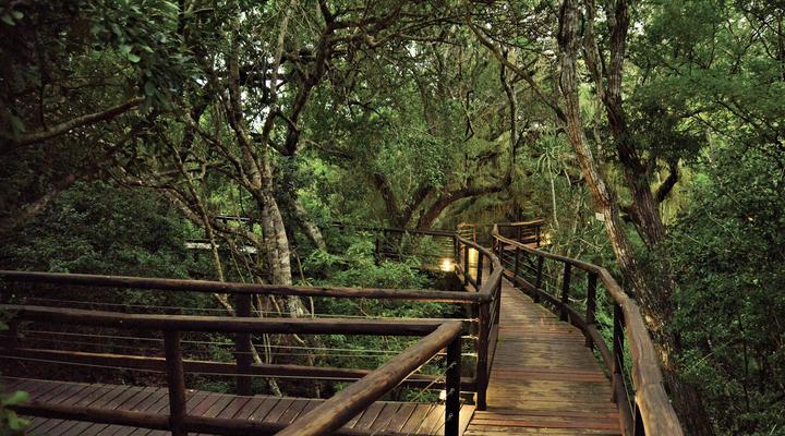Malkoha Lake St. Lucia