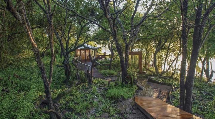 Malkoha Lake St. Lucia