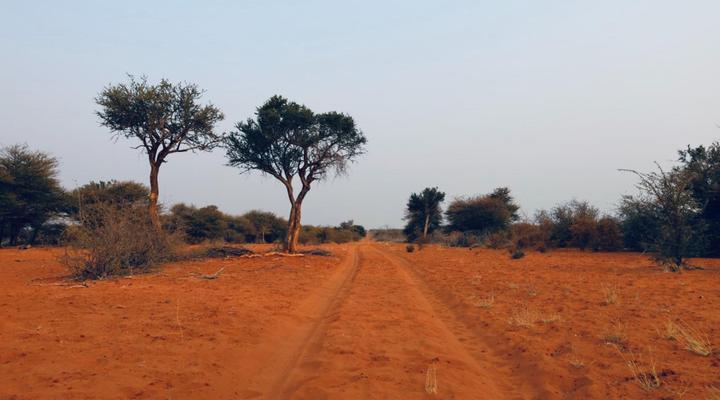 Rhino Ridge Kalahari Game Reserve