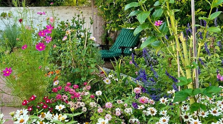 Penelope's Stellenbosch