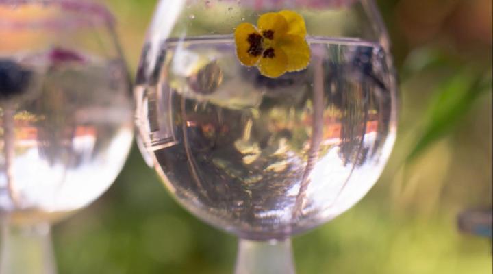 Ben's Bed and Breakfast