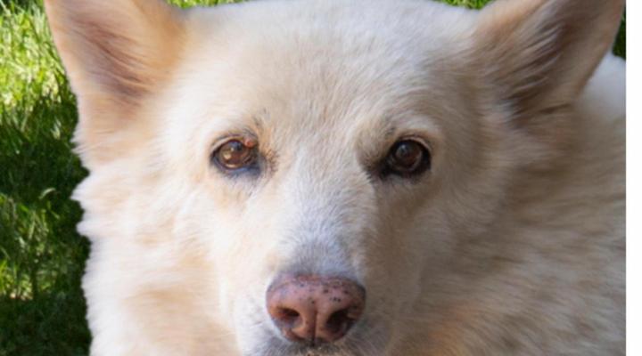 Ben's Bed and Breakfast