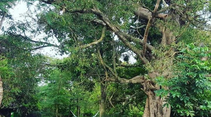 Barefoot Lodge and Safaris - Malawi