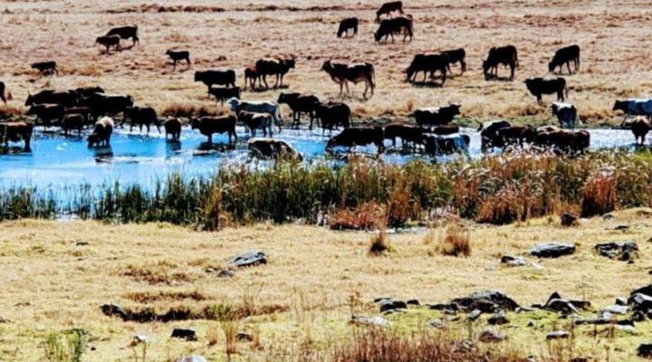 Riverside Guest Accommodation