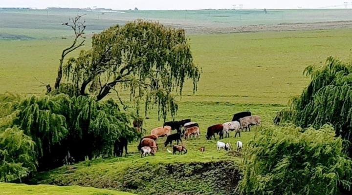 Riverside Guest Accommodation