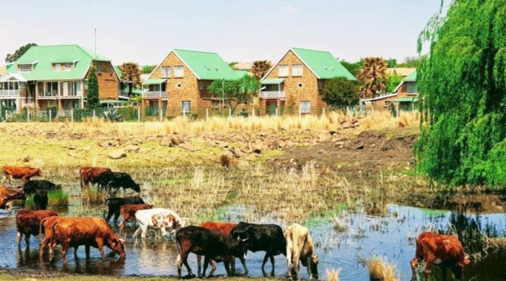 Riverside Guest Accommodation