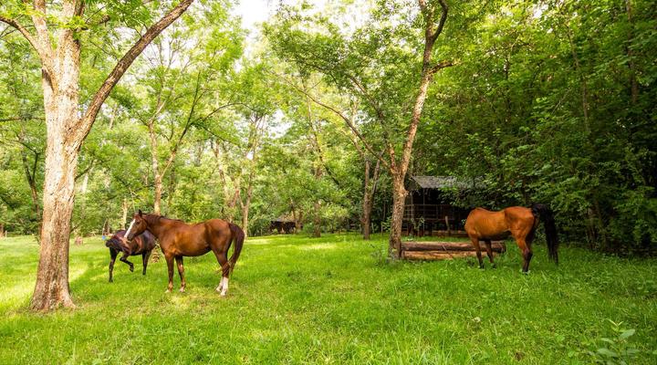 Buhleni Farm Chalets